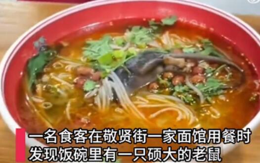 顾客吃面发现碗里有完整死老鼠 背后真相实在让人惊愕