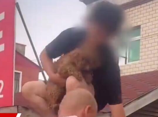 涿州男子获救后折返找狗被吐槽 背后真相实在让人惊愕