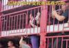 涿州洪灾 拉猪大货车变“诺亚方舟” 内幕曝光简直太意外了