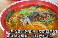 顾客吃面发现碗里有完整死老鼠 背后真相实在让人惊愕