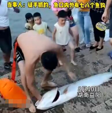 男子游泳时徒手抓到1米多大鱼 背后真相实在让人惊愕