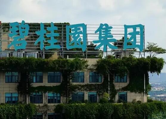 碧桂园:公司债券兑付存在不确定性 背后真相实在让人惊愕