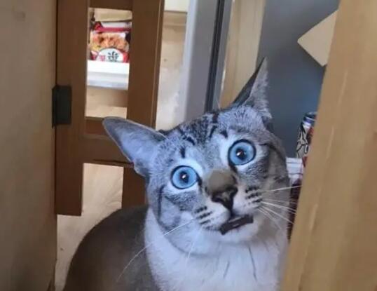 男子为“前女友”交房贷后被拉黑 内幕曝光简直太意外了