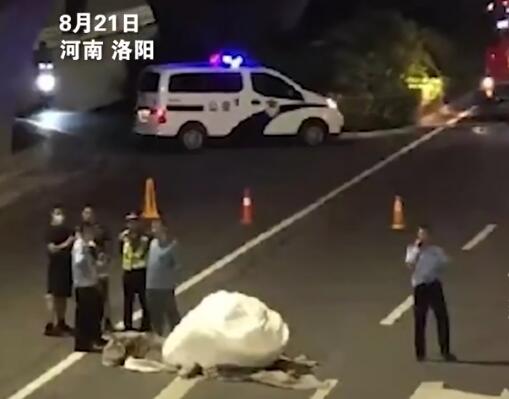 洛阳不明物体将地面砸出坑?消防回应 背后真相实在让人惊愕