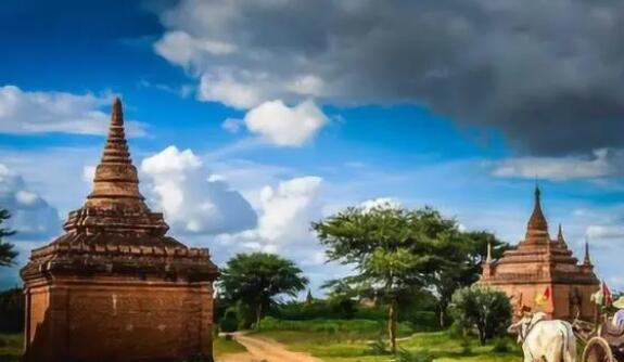 在缅华人称被骗者有低龄化趋势 背后真相实在让人惊愕