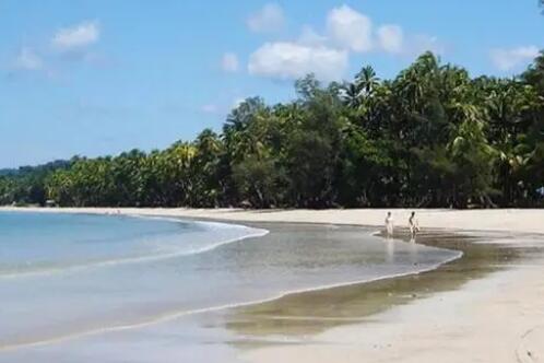 男子被骗缅甸家属被告知已遭杀害 内幕曝光简直太意外了