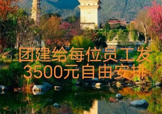 公司团建给员工发3500元自由安排 内幕曝光简直太意外了