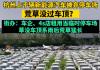 杭州又现“汽车坟场”?街办回应 背后真相实在让人惊愕