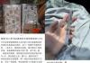 神兽归笼“三大件”花费数千元 背后真相实在让人惊愕
