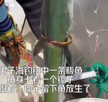 男子海钓 鱼身上卡着一个镯子 内幕曝光简直太意外了