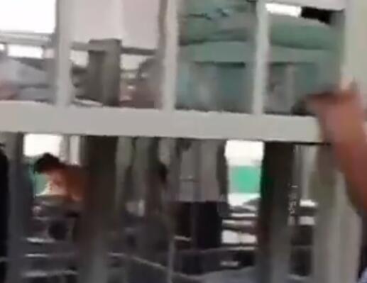 学校回应宿舍床铺紧挨无缝隙 内幕曝光简直太意外了