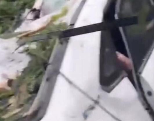 深圳台风吹倒树砸中车辆致1死2伤 内幕曝光简直太悲剧外了