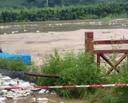 台风侵袭果园被泡 大量柚子河中漂 画面曝光简直不忍直视