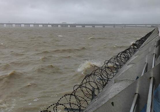 台风苏拉过境 170斤壮汉站不稳 背后真相实在让人惊愕