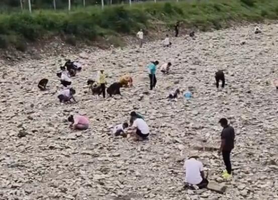 洪水过后出现碎金 村民河道捞金 画面曝光简直太意外了