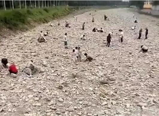 男子自导自演河道内淘金被立案侦查 背后真相实在让人惊愕