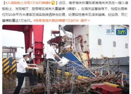 入境船舶上发现1万余只蟑螂 背后真相实在让人惊愕
