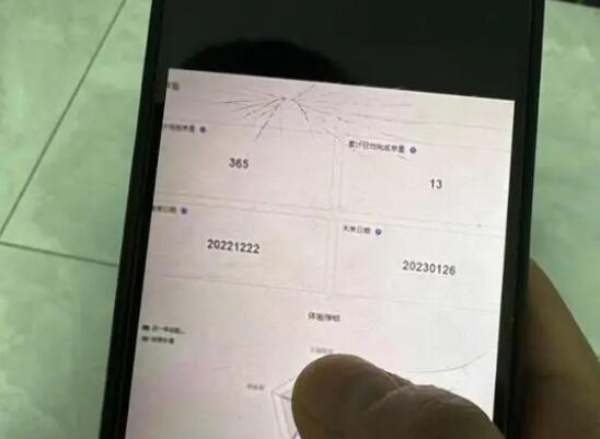 站长否认老师体验送外卖月送2000单 一共送了365笔订单