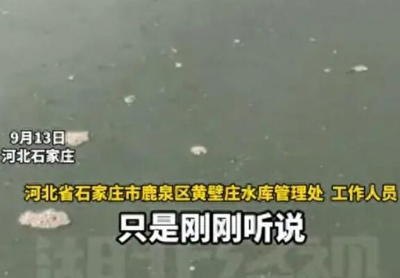 网传石家庄一水库不断有油冒出 内幕曝光简直太意外了
