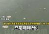 网传石家庄一水库不断有油冒出 背后真相实在让人惊愕