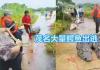 广东鳄鱼暴雨中出逃已抓回36条 背后真相实在让人惊愕