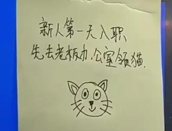 重庆一公司回应新员工可领猫 内幕曝光简直太意外了