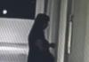 房东称女租客看房后骚扰还持刀威胁 内幕曝光简直太意外了