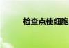 检查点使细胞分子摄入的精确度