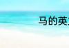 马的英文怎么怎么写
