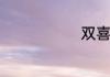 双喜字怎么打