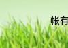 帐有什么组词