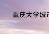 重庆大学城市科技学院是几本