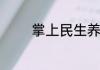 掌上民生养老保险怎么认证