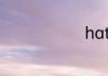 hats怎么读