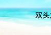 双头龙怎么理解