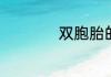 双胞胎的英文是什么