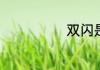 双闪是什么意思