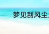 梦见刮风尘土飞扬是什么意思