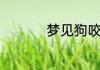梦见狗咬我屁股不松口