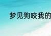 梦见狗咬我的手不放是什么意思