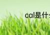 cal是什么意思跑步机