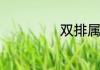 双排属于营运车吗