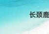 长颈鹿汉语大词典