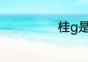 桂g是哪里的车牌
