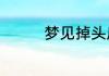梦见掉头皮屑是什么意思