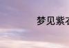 梦见紫衣是什么预兆