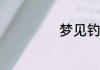 梦见钓鱼钓到大鱼