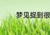 梦见捉到很多鱼是什么意思