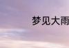 梦见大雨倾盆什么意思
