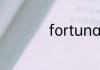 fortunately什么意思